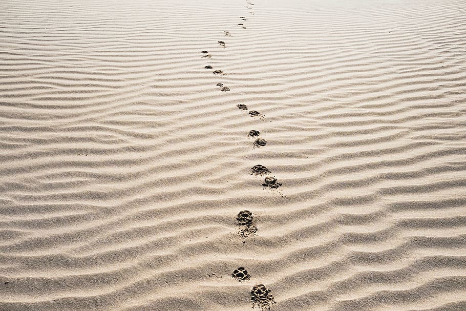 sand-footprints-beach-desert