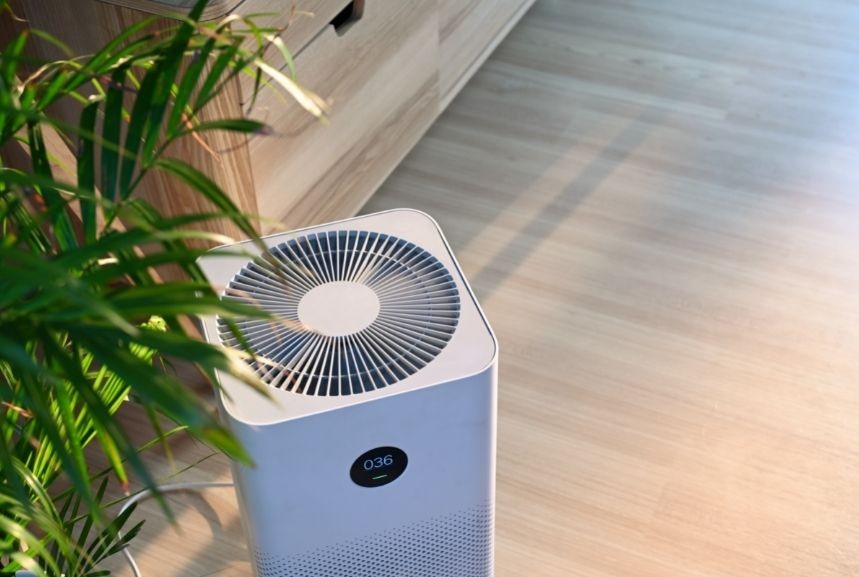Should You Use Air Purifier and Diffuser at the Same Time