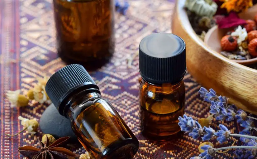 Essential Oils for Breathing Better: Top 6 Picks Plus Some Hidden Gems