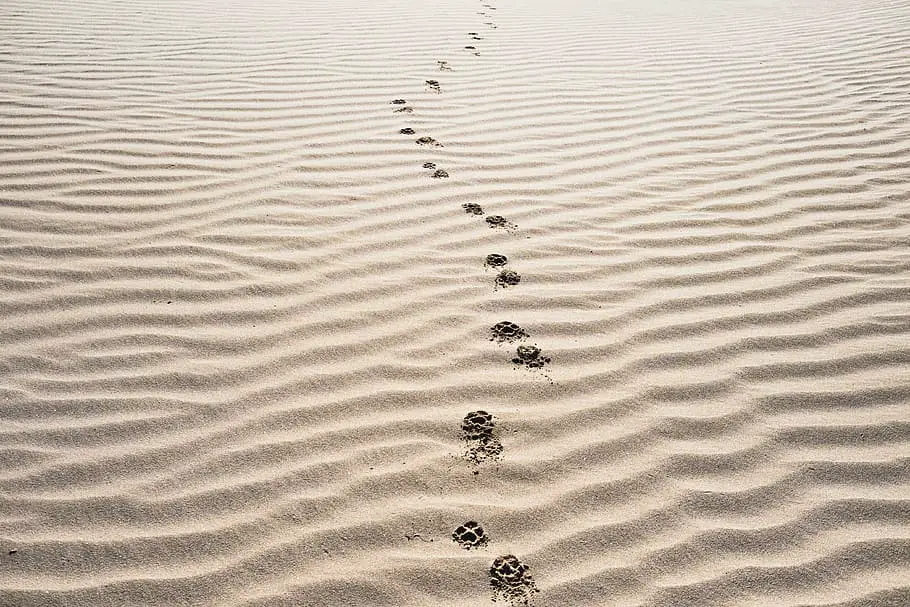 sand-footprints-beach-desert
