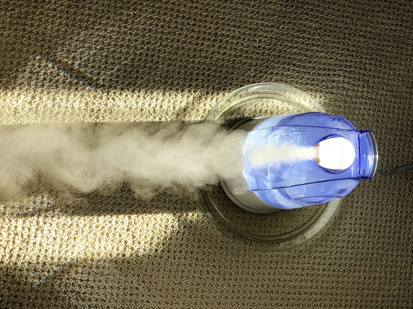 Do You Put Water in a Humidifier?