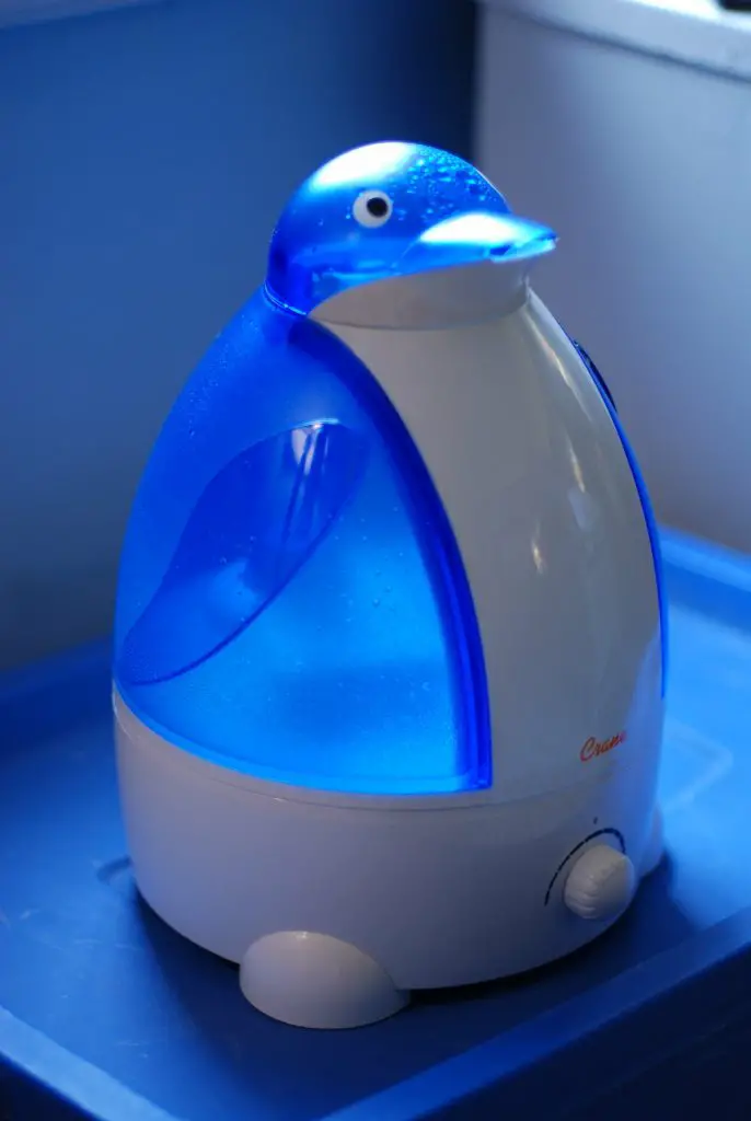 do-you-put-water-in-a-humidifier