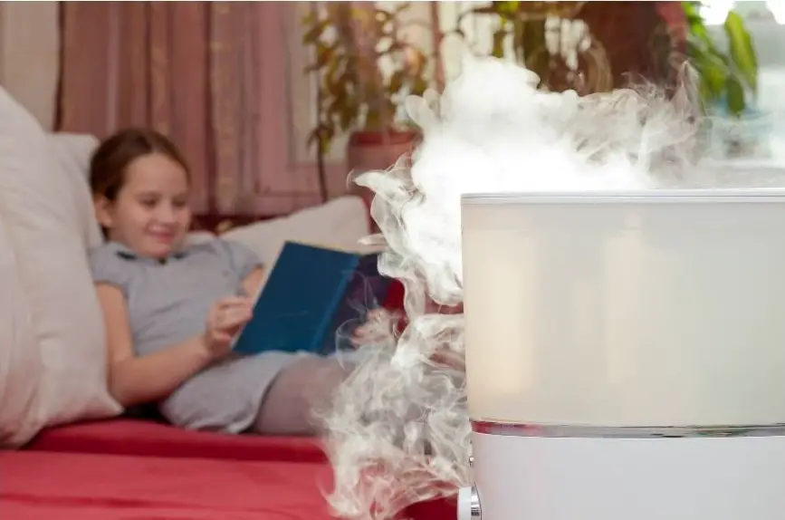 self cleaning Humidifiers