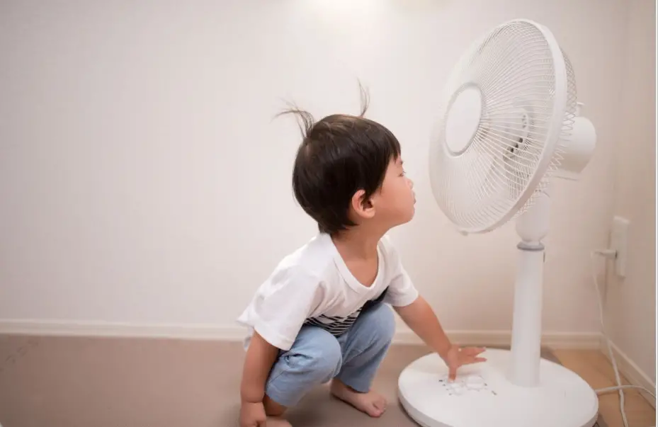 How Many Watts Does a Fan Use? (7 Fan Types Examined