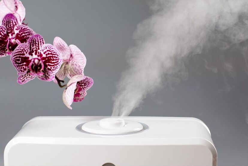 Do Humidifiers Clean the Air? (You May Be Surprised)