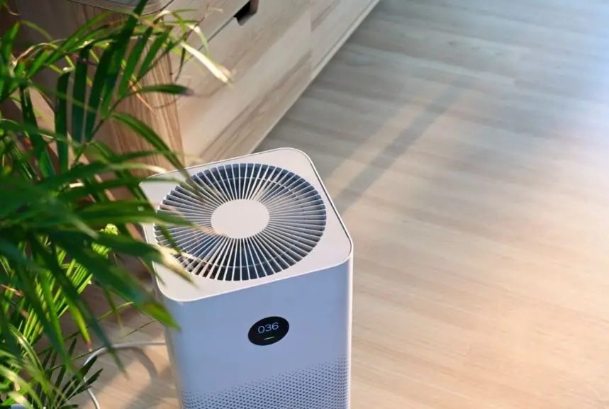 Should You Use Air Purifier and Diffuser at the Same Time