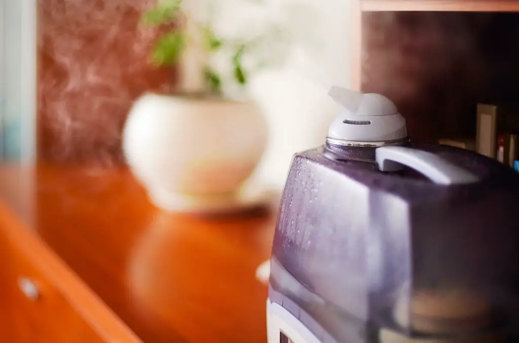 My Top 11 Ultimate “Plant Humidifier” Must Haves