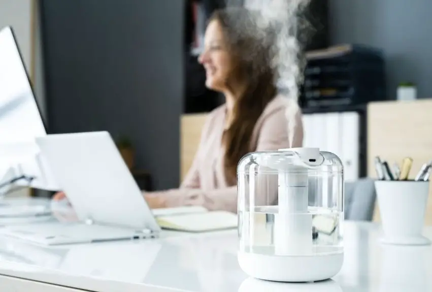 How Long Does it Take for a Humidifier to Work?