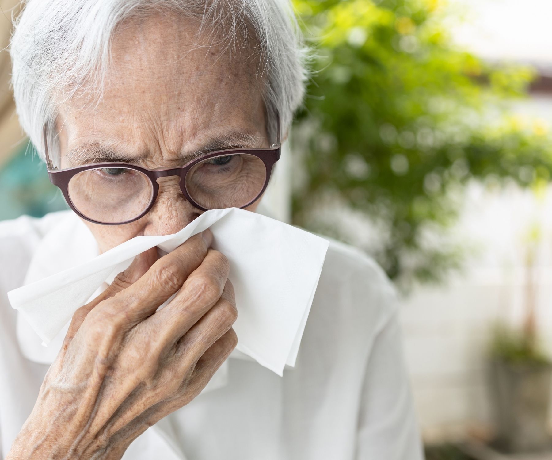 Do Air Purifiers Work for Colds? The Cold Hard Truth