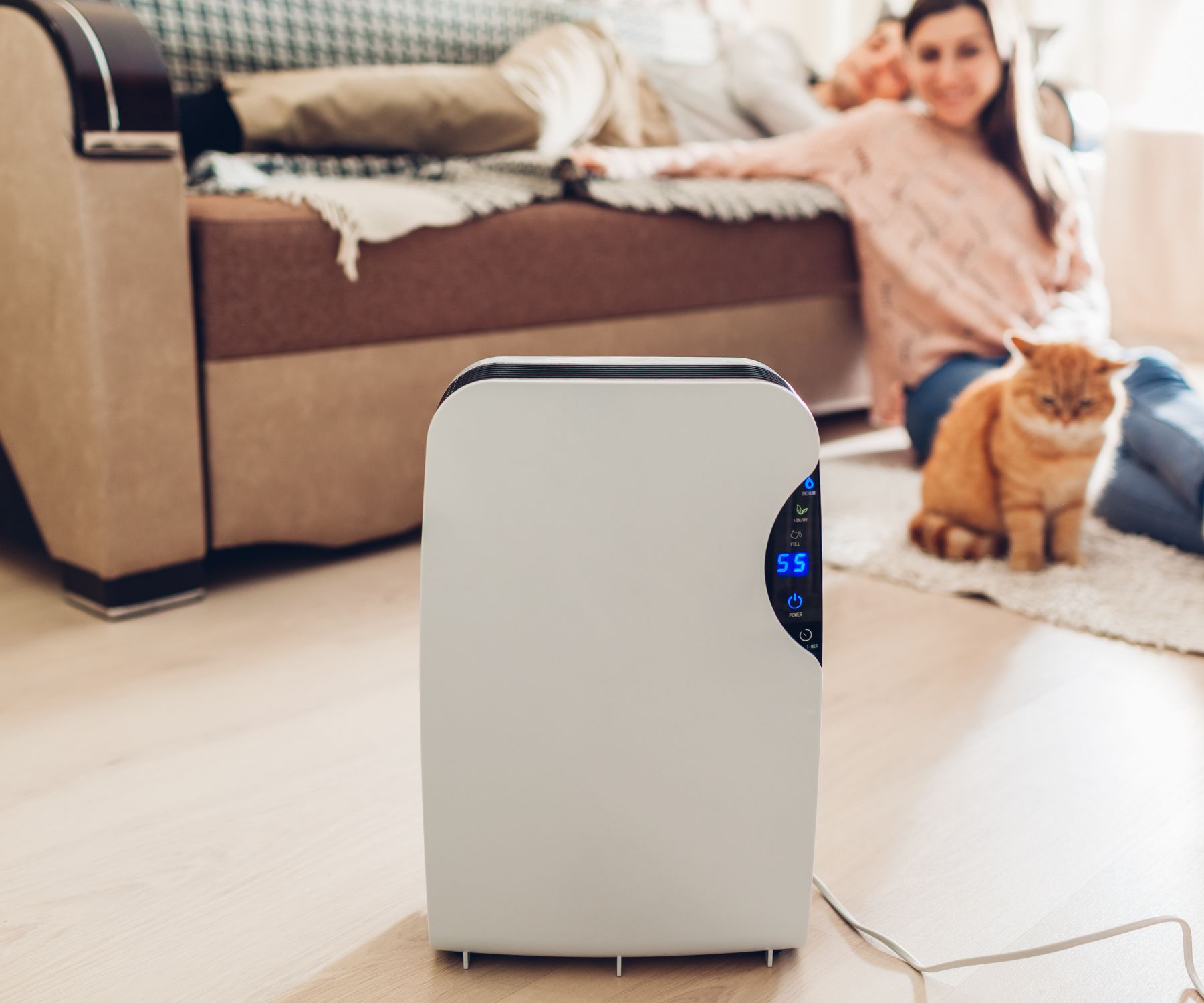 What's The Best Place To Put A Dehumidifier In A House?