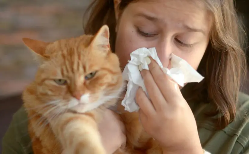 Allergies to Cats