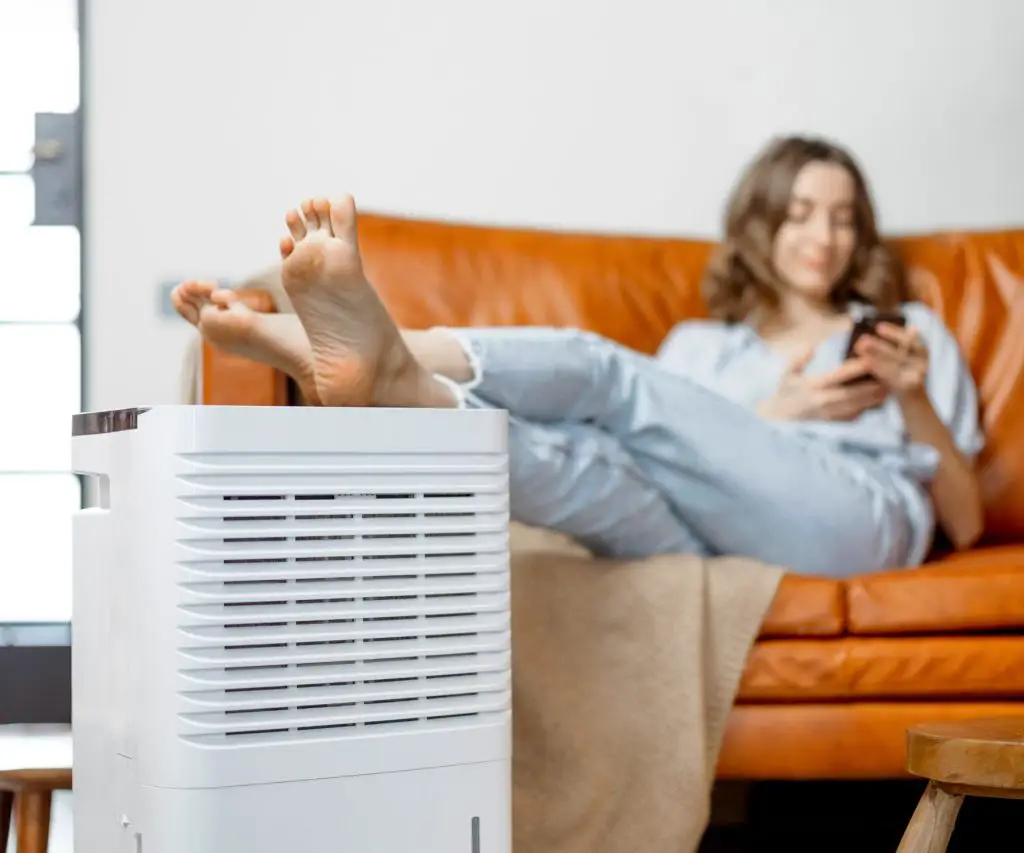 Can a dehumidifier dehydrate you