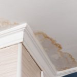 How to Tell If Mold Has Been Painted Over