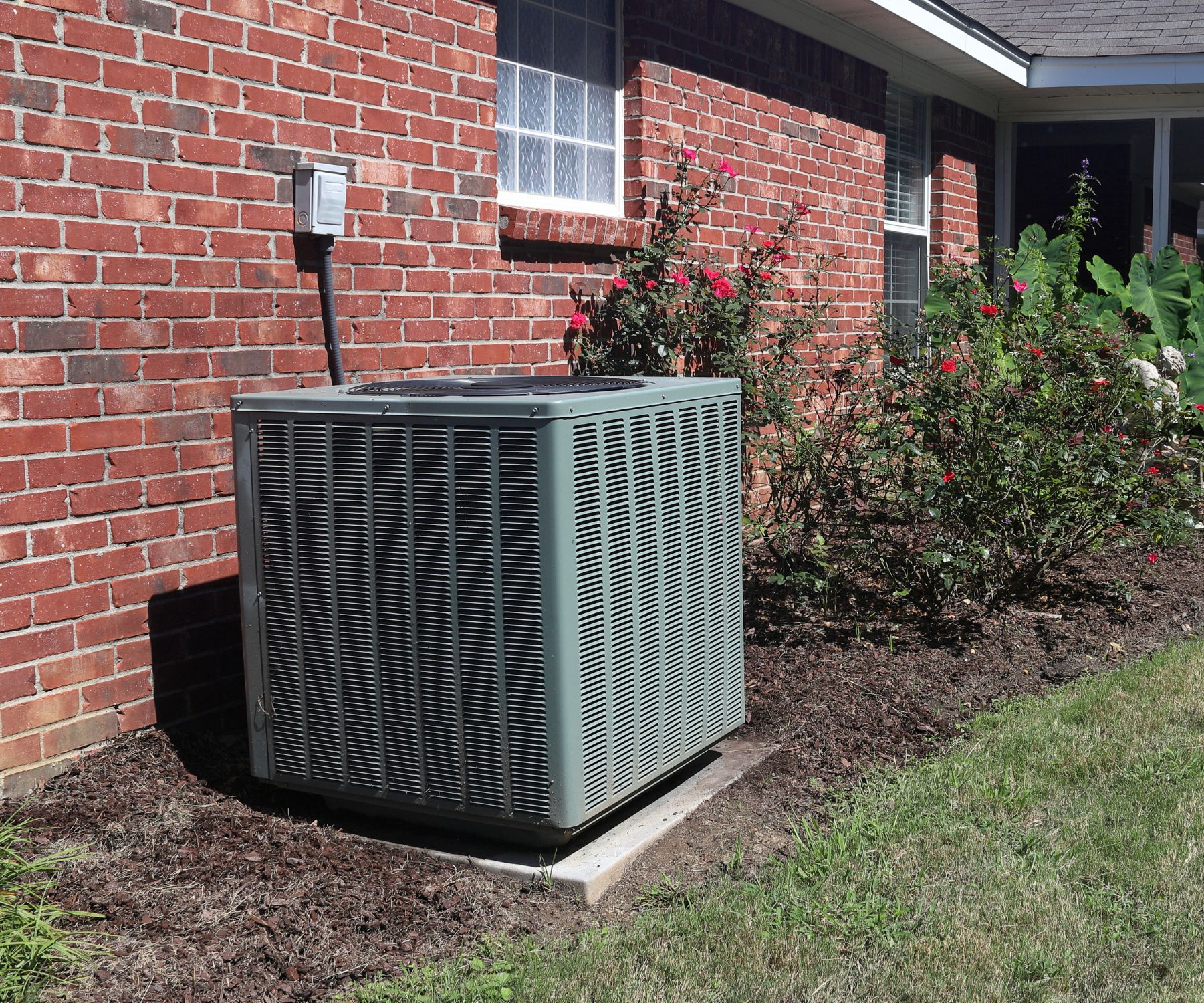 Mold in Air Conditioning Units