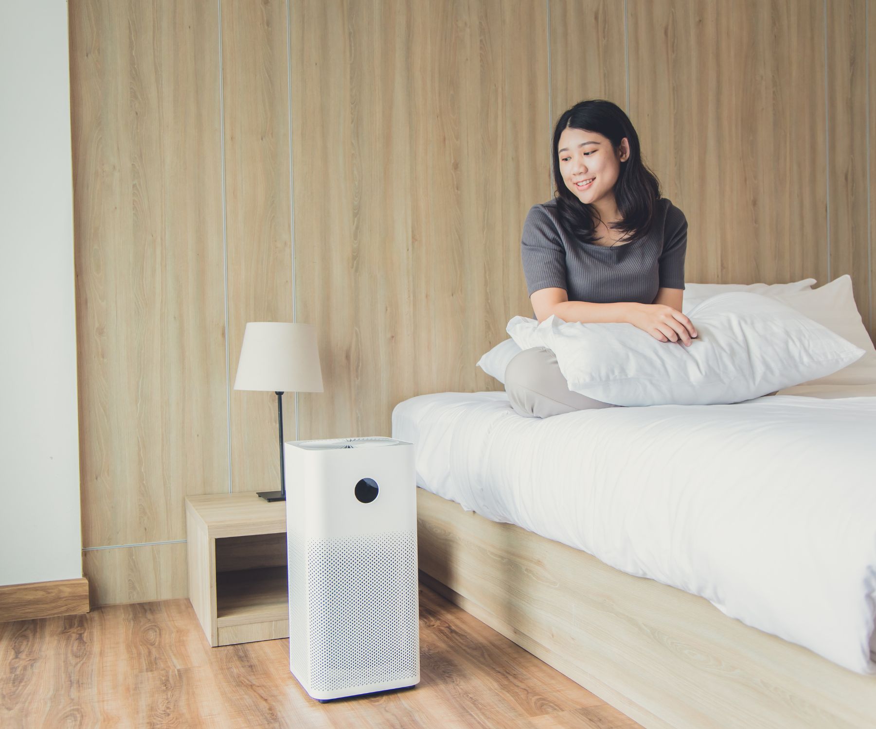 Types of Air Purifiers