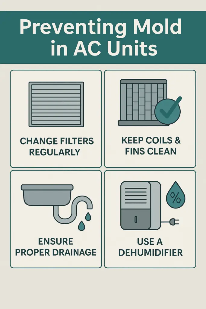 Infographic showing prevention tips for mold in AC units: change filters, clean coils, ensure proper drainage, and use a dehumidifier.