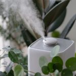 How Do I Know If My Humidifier is Working Properly
