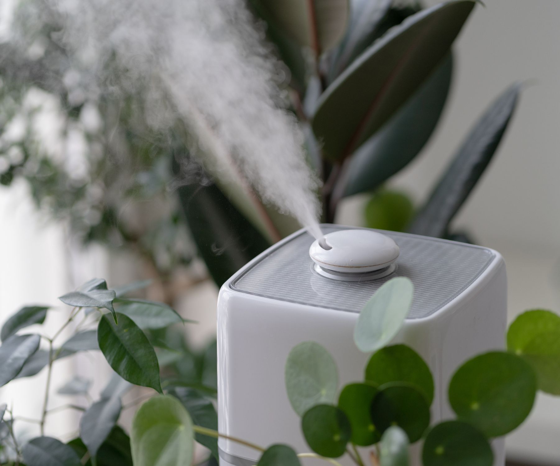 How Do I Know If My Humidifier is Working Properly