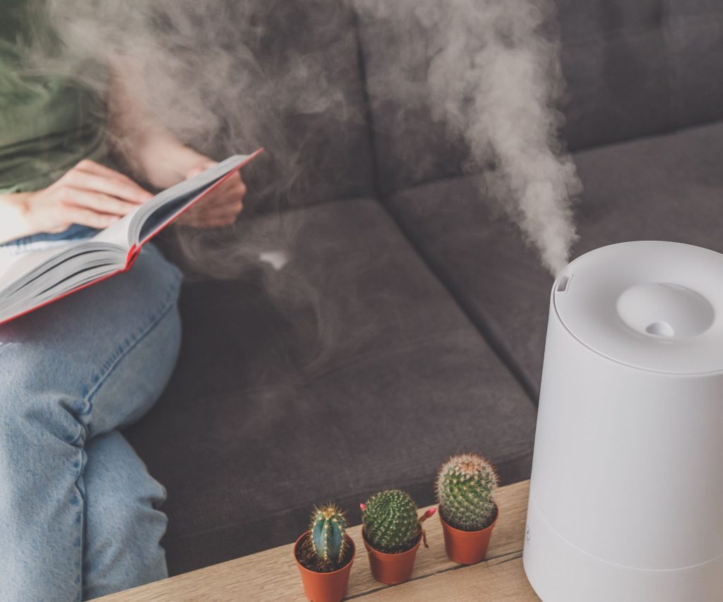 What Types of Humidifiers Are There?