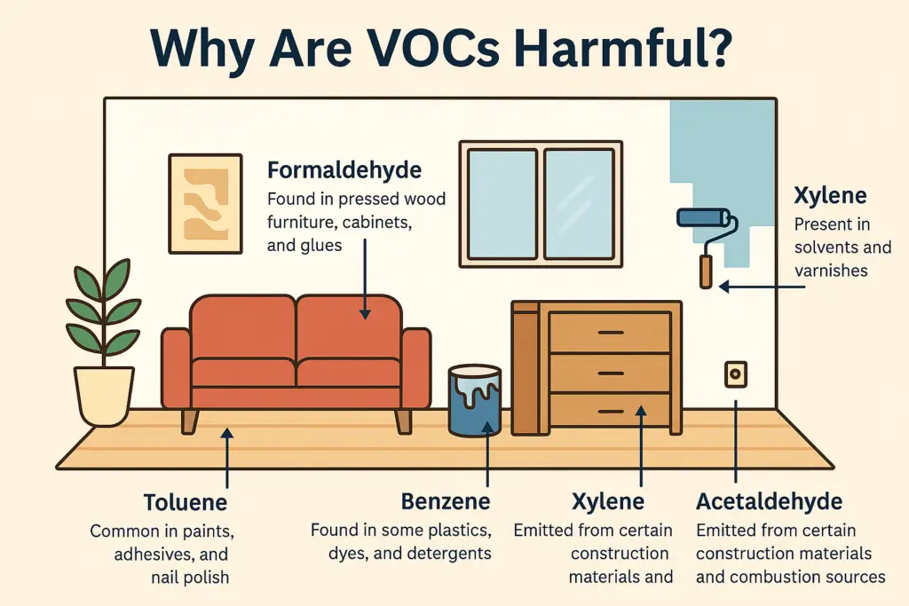 illustration of the types of VOCs and how they can be harmful