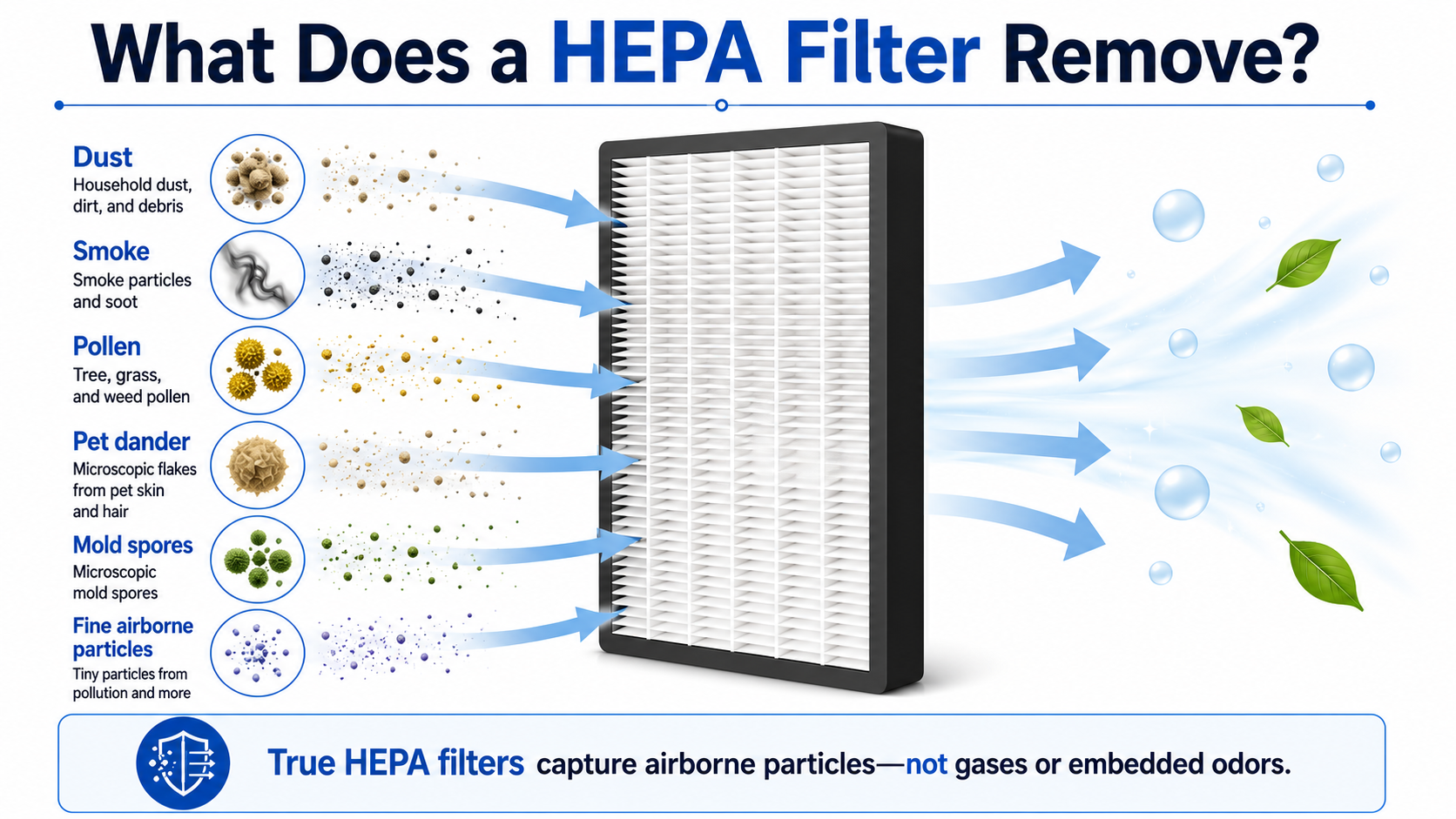 What a HEPA filter removes: dust, smoke particles, pollen, pet dander, mold spores, and fine airborne particles, but not gases or embedded odors.